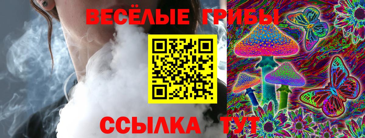 Псилоцибиновые грибы Psilocybine cubensis Кубинка