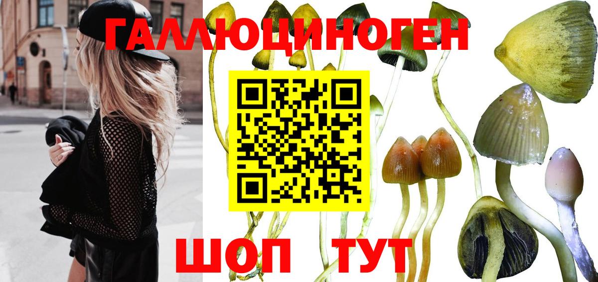 Кубинка  Псилоцибиновые грибы ЛСД  Вход с VPN 